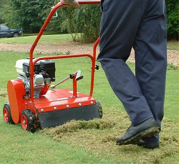 To maintain the quality of lawn we recommend Scarification.