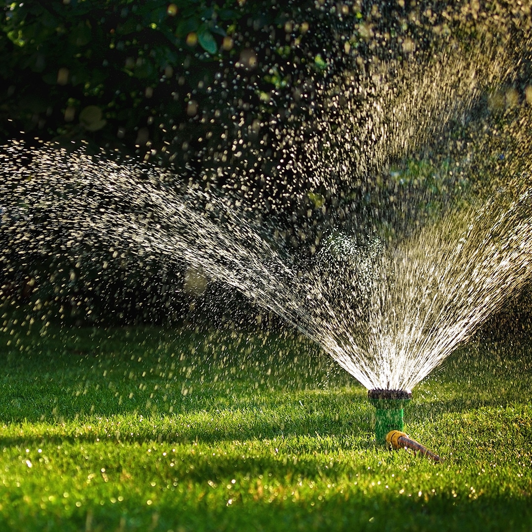 What Is the Best Time of Day to Water Grass?