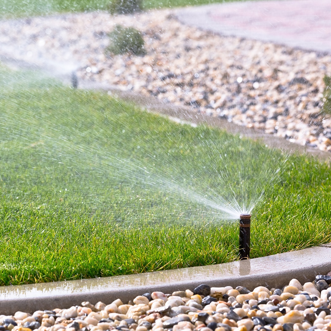 When Is the Best Time to Water Your Lawn? · Shades of Green Lawn ...