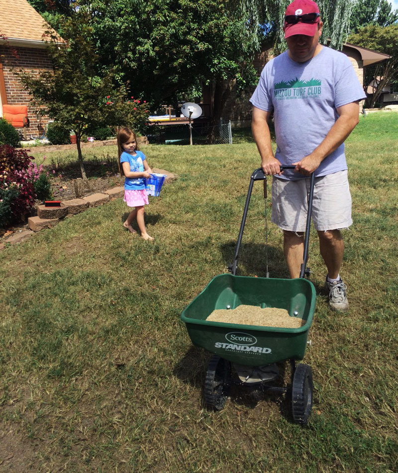 When Should I Overseed My Lawn In Missouri / Should You Be Overseeding ...
