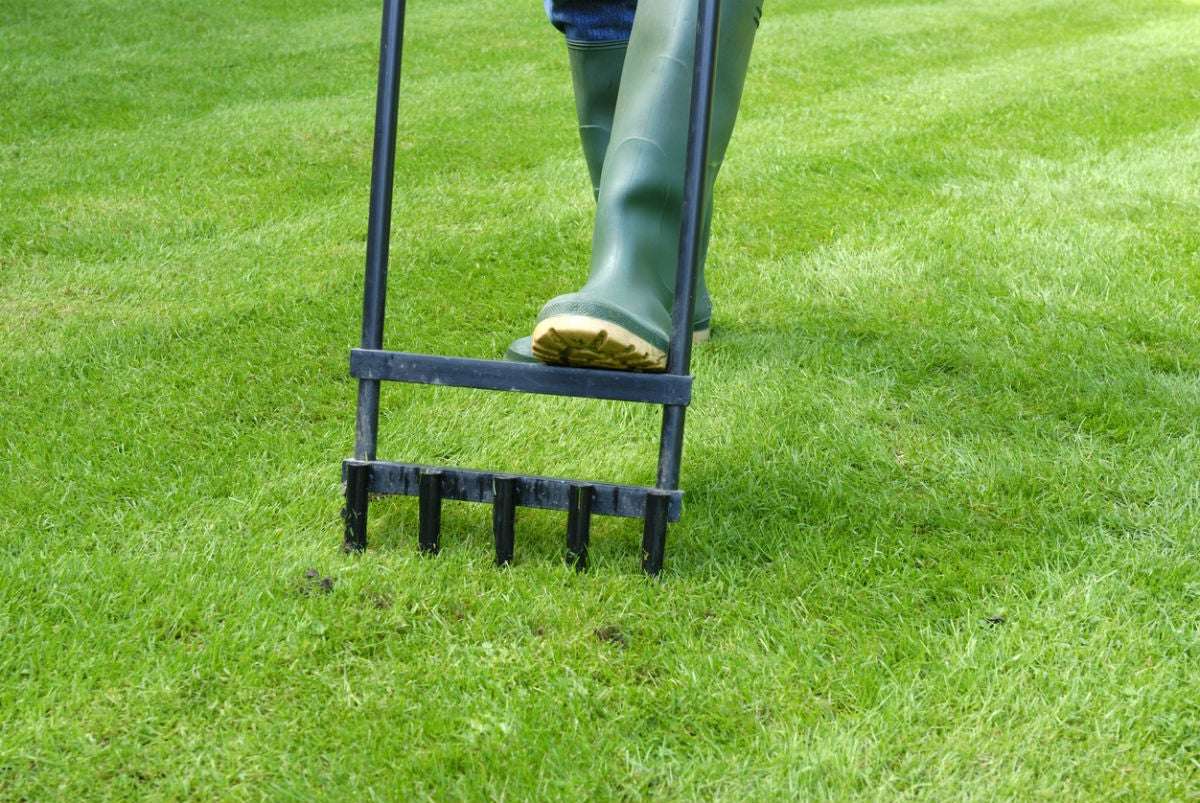 When to Aerate the Lawn, Solved!