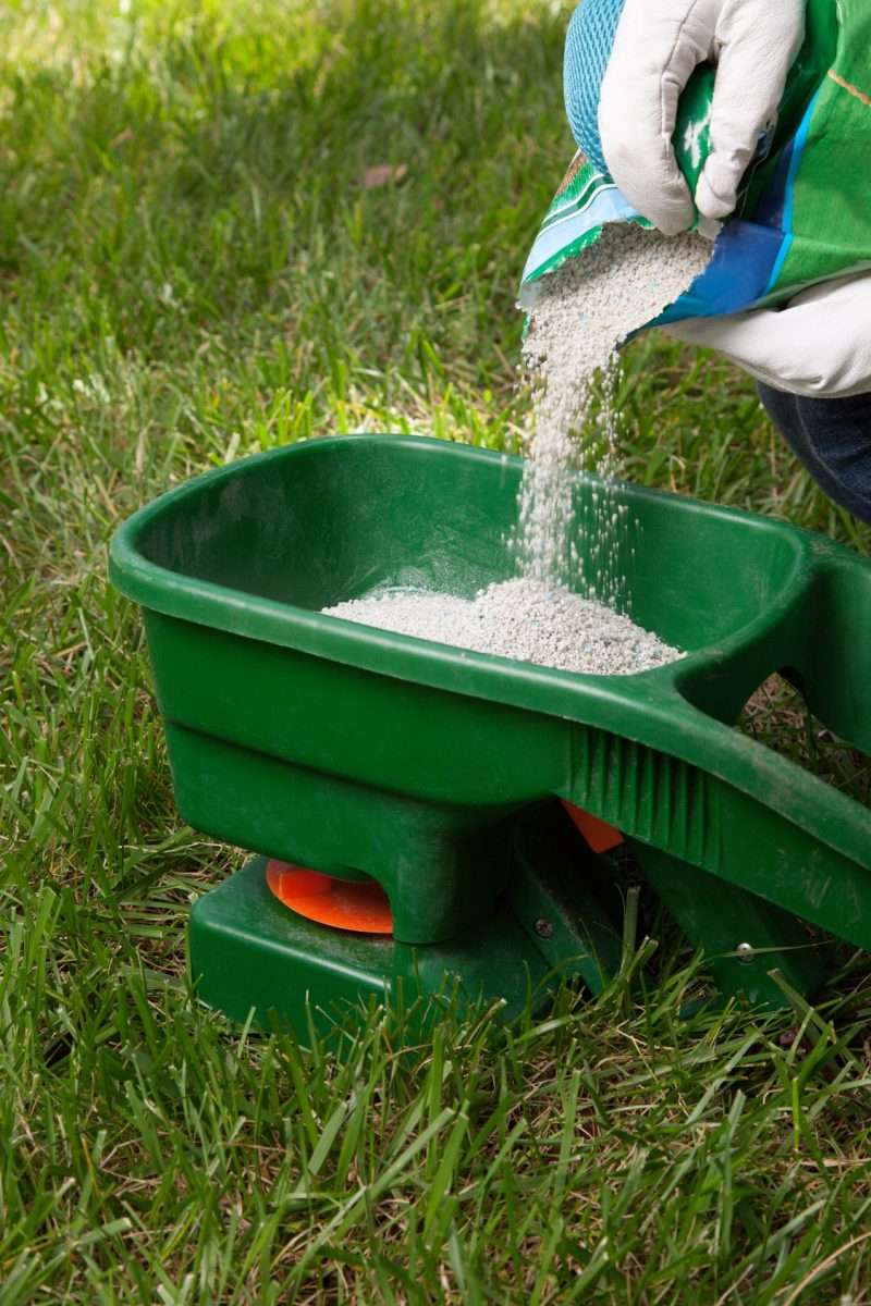 When to Fertilize Your Lawn in the Spring